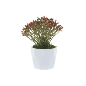 Arranjo Grass Florarte 15Cm - Sortido