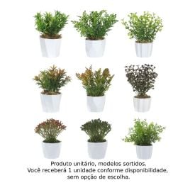 Arranjo Grass Florarte 15Cm - Sortido