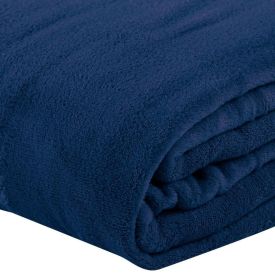 Cobertor Casal Microfibra Paris Havan Casa - Azul