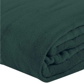 Cobertor Paris Solteiro Microfibra Havan Casa - Verde Botânico 2