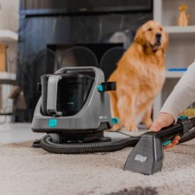 Extratora e Higienizadora Portátil Wap Spot Cleaner W2 1600W