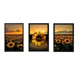 Jogo de Quadros Decorativos 28Cm 3 Peças Fx Quadros - Girassol