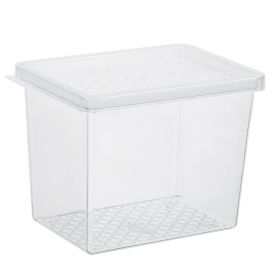 Organizador Multiuso Com Tampa Uz 2,9 Litros - Transparente