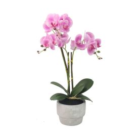 Orquídea Artificial Com Vaso 56 Cm Havan Casa - Sortido
