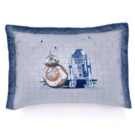 Porta Travesseiro Infantil Estampado Disney Hedrons - Galáxia SW