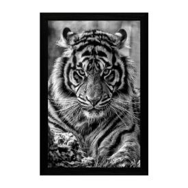 Quadro Retangular 33Cm Fx Quadros - Tigre