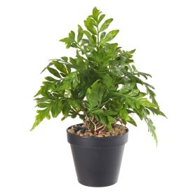 Arranjo Samambaia Florarte 22 Cm