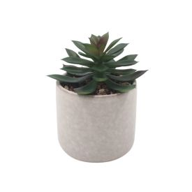 Suculenta Artificial com Vaso de Cerâmica 12Cm Havan Casa - Sortido