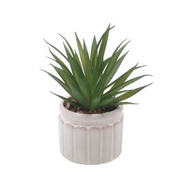 Suculenta Artificial com Vaso de Cerâmica 14Cm Havan Casa - Sortido