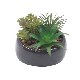 Suculenta Artificial com Vaso de Cerâmica 9Cm - Havan Casa