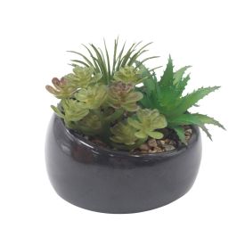 Suculenta Artificial com Vaso de Cerâmica 9Cm - Havan Casa