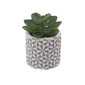Suculenta Artificial com Vaso de Cimento 8Cm Havan Casa - Sortido