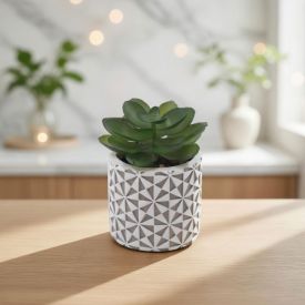 Suculenta Artificial com Vaso de Cimento 8Cm Havan Casa - Sortido