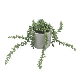 Suculenta Com Vaso De Cimento 15Cm - Havan Casa