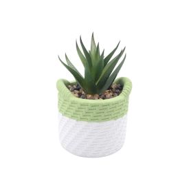Suculenta com Vaso de Cimento Havan Casa 10,5Cm - Sortido