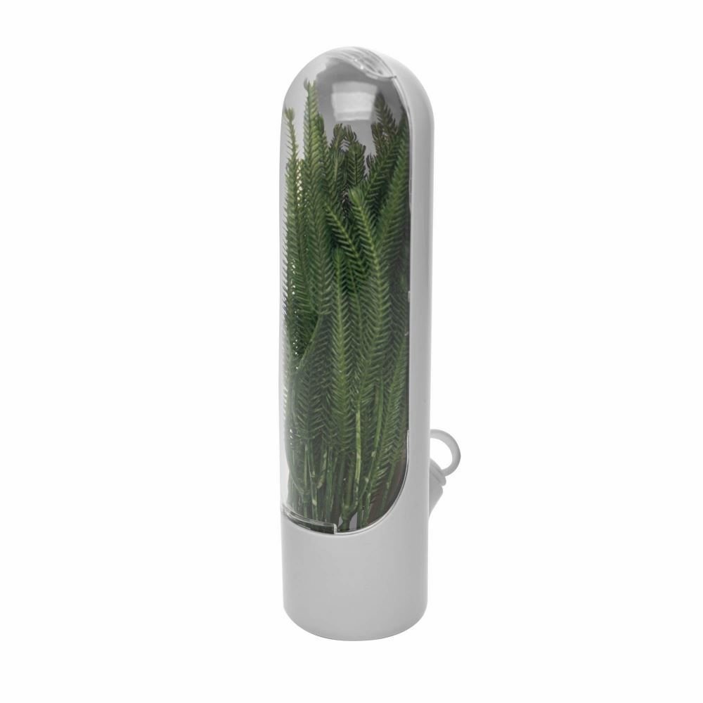 Pote Conservador Temperos Frescos Lyor 10Cm Lyor - Cinza