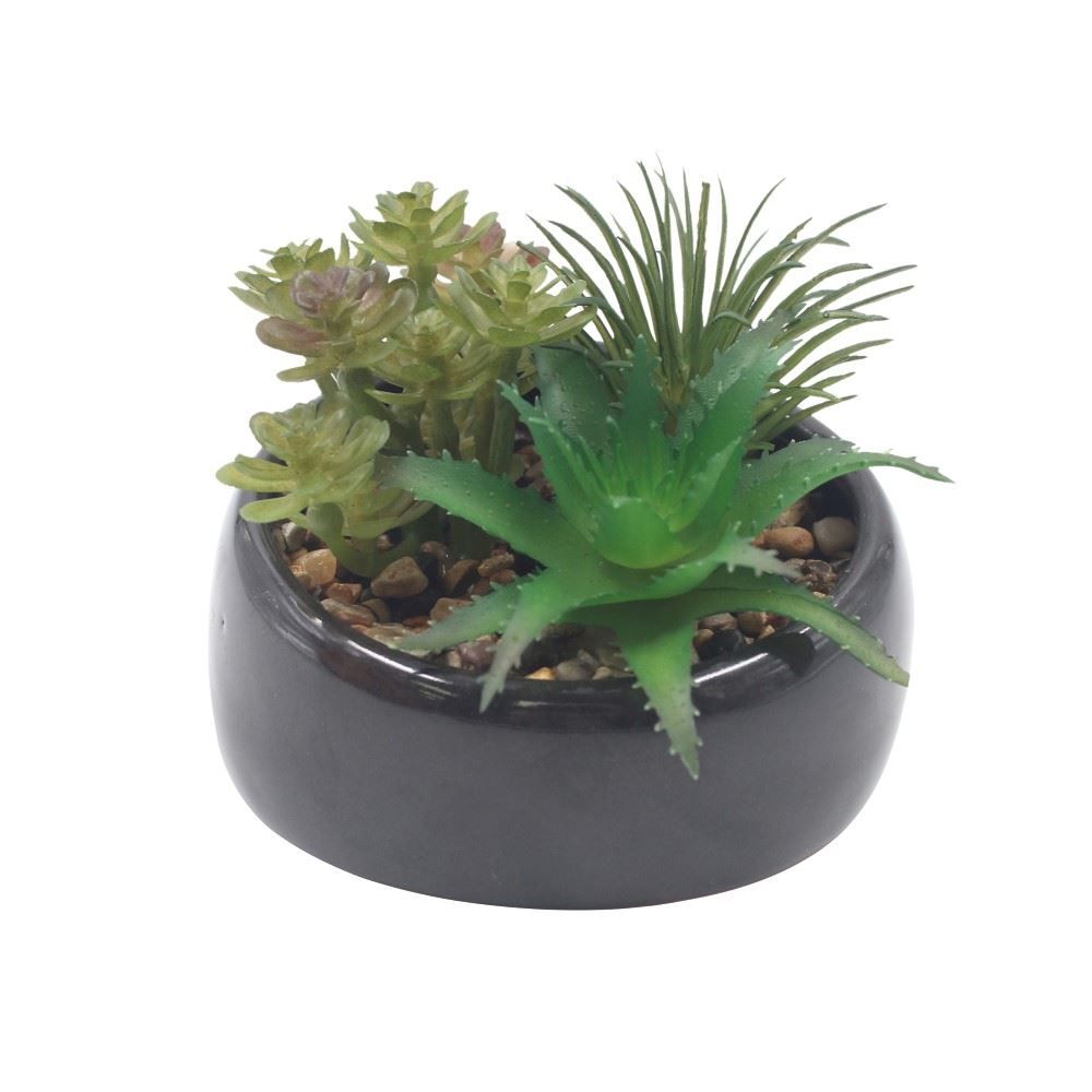 Suculenta Artificial com Vaso de Cerâmica 9Cm - Havan Casa
