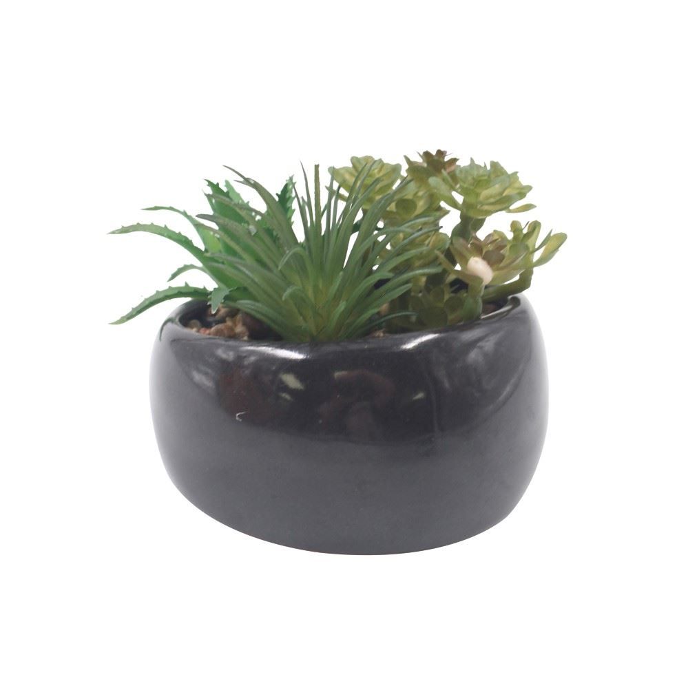 Suculenta Artificial com Vaso de Cerâmica 9Cm - Havan Casa