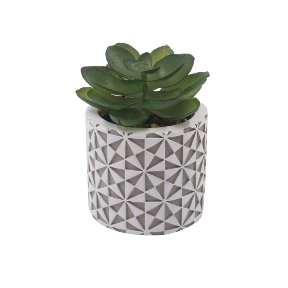 Suculenta Artificial com Vaso de Cimento 8Cm Havan Casa - Sortido