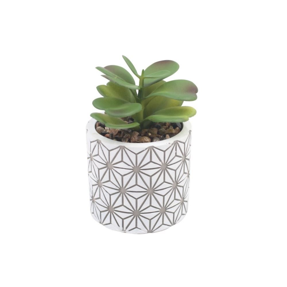 Suculenta com Vaso de Cimento Havan Casa 10,4Cm - Sortido