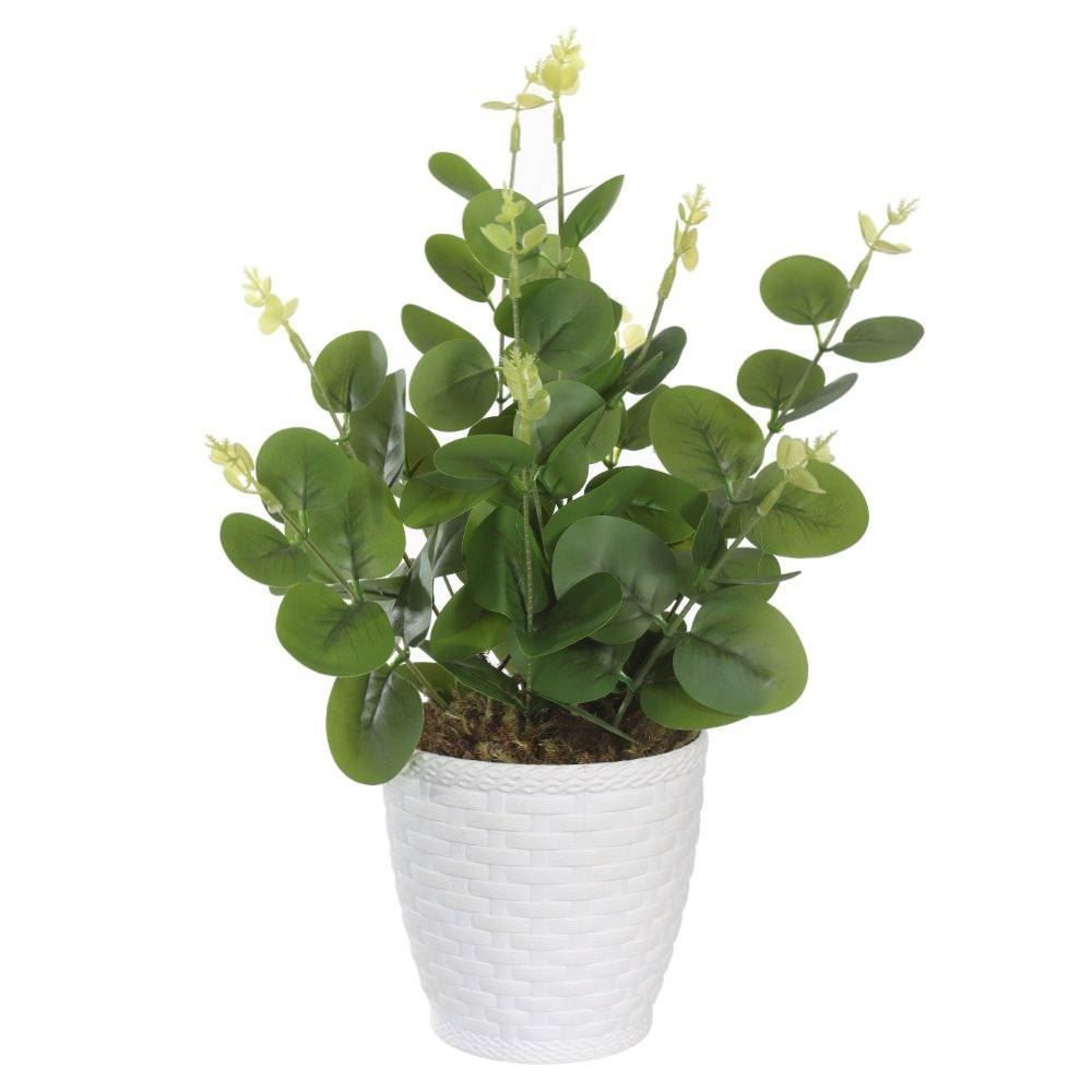 Arranjo Eucalipto Florarte 33Cm - Sortido