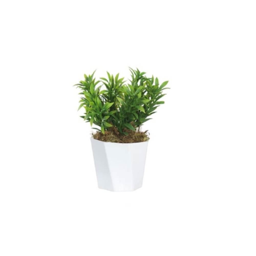 Arranjo Grass Florarte 15Cm - Sortido
