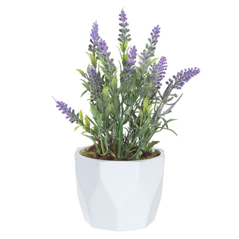 Arranjo Lavanda Florarte 22X10cm