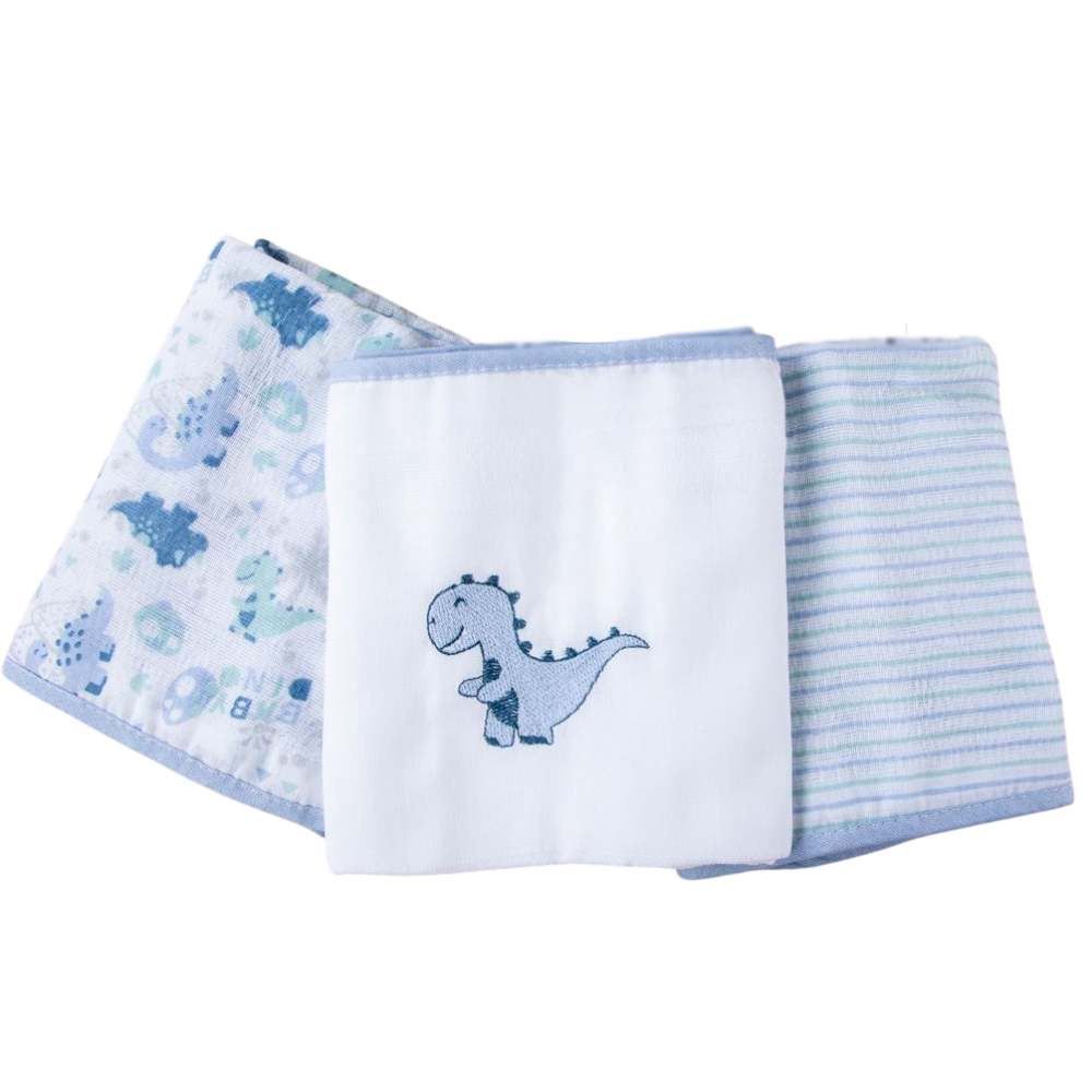 Fralda Estampada Com 3 Peças Havan Baby - Dino Azul