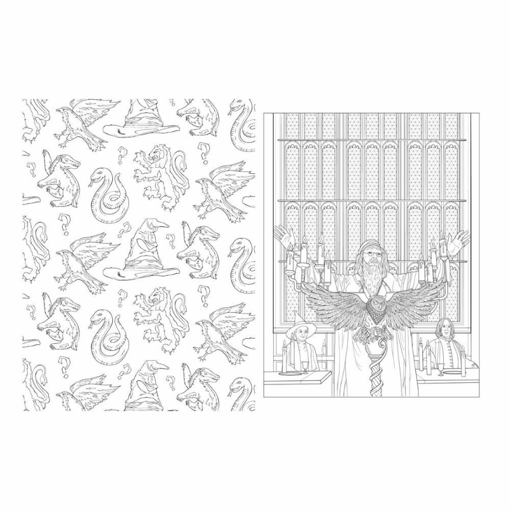 Livro Harry Potter Casas De Hogwarts Ciranda Cultural - Para Colorir