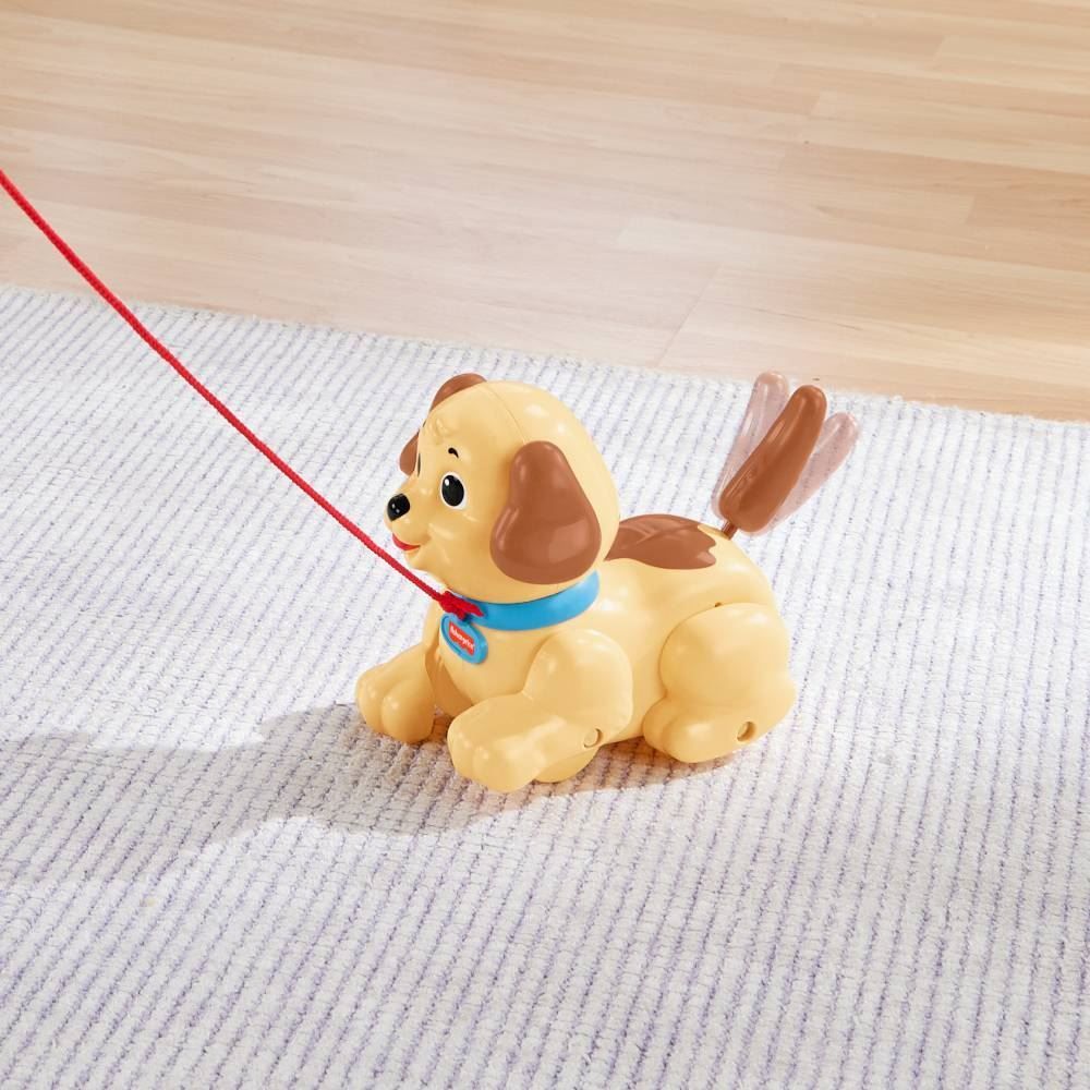 Meu Primeiro Cachorrinho Mattel - H9447