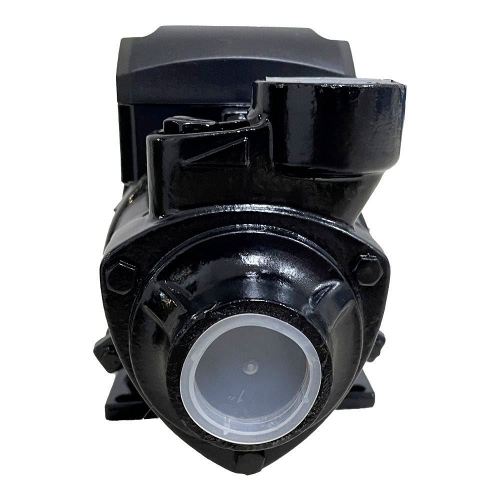 Motobomba Periférica 1,0Cv Eletroplas - Bivolt