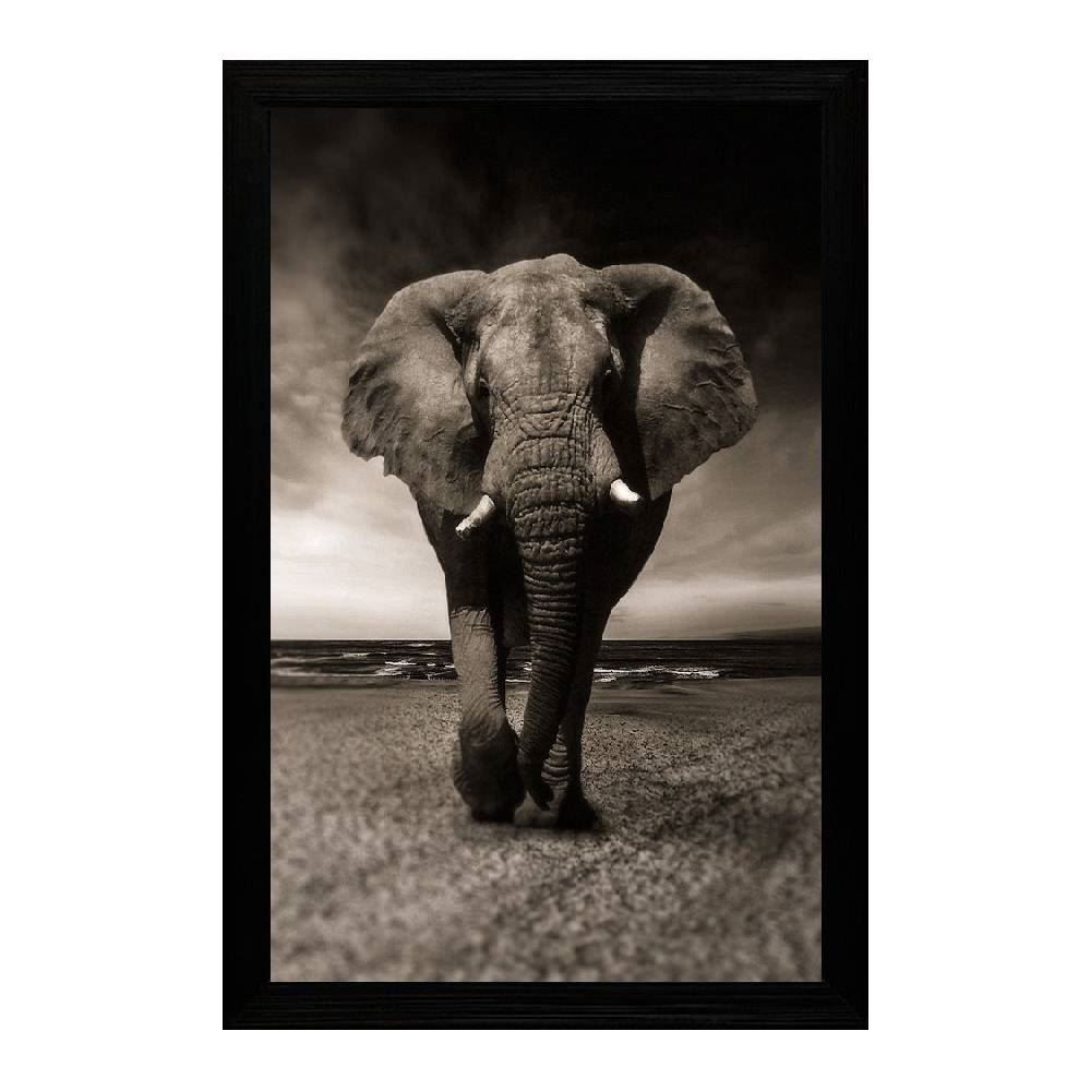 Quadro Retangular Fx Quadros 33Cm - Elefante
