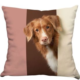 Almofada Decorativa Pets Havan Casa - Pet 