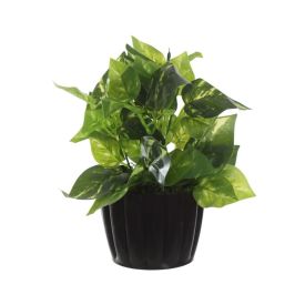 Arranjo de Folhagem Florarte 25Cm - Sortido