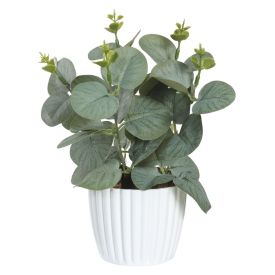 Arranjo De Flor Eucalipto 24X25cm - Florarte