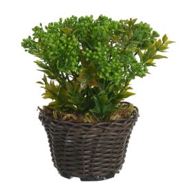 Arranjo Frutinha Florarte 18Cm