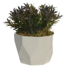 Arranjo Grass Florarte 16Cm