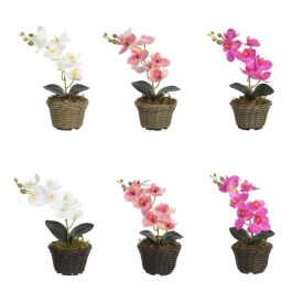 Arranjo Orquídea Florarte 30Cm