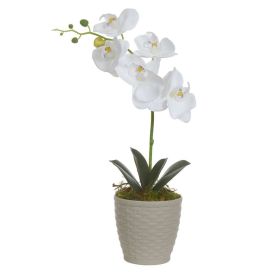 Arranjo Orquidea Florarte 37Cm - Sortidos
