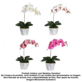 Arranjo Orquídea Phalaenopsis Florarte 52Cm - Sortido