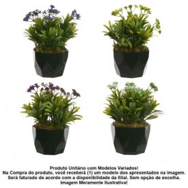 Arranjo Podocarpos Sementes Florarte 24Cm - Sortido