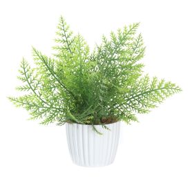 Arranjo De Flor Samambaia 24X25cm - Florarte