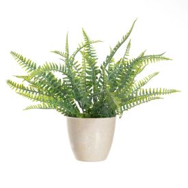Arranjo Samambaia Florarte - 30 Cm