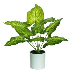 Caladium Real Toque C/Pote X9 Verde 42Cm     