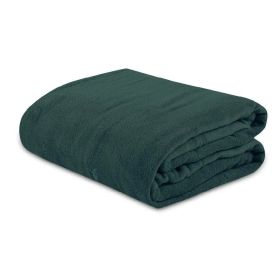 Cobertor Casal Microfibra Paris Havan Casa 1 Pç - Verde Botânico