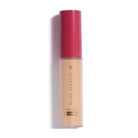 Corretivo Niina Secrets Perfect Match Cor 00 - 10ml