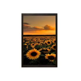 Jogo De Quadros Fx Quadros 28Cm 3 Peças - Girassol