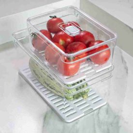Organizador De Geladeira Com Tampa Martiplast 2,2L - Transparente