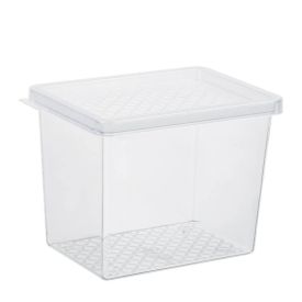 Organizador Multiuso Com Tampa Uz 1,3L - Transparente