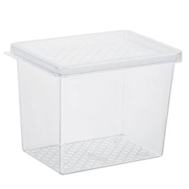 Organizador Multiuso Com Tampa Uz 2,9L - Transparente